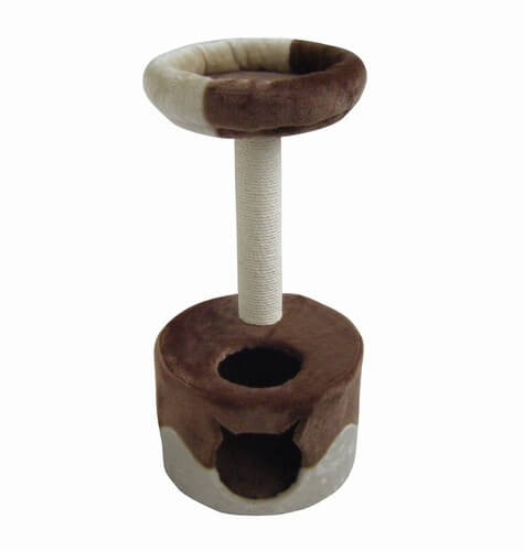 arbre a chat chocolat